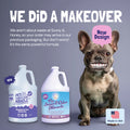 Sunny & Honey Pet Stain & Odor Remover 1 Gal Sunny & Honey