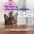 Sunny & Honey Pet Stain & Odor Remover 32 oz Sunny & Honey