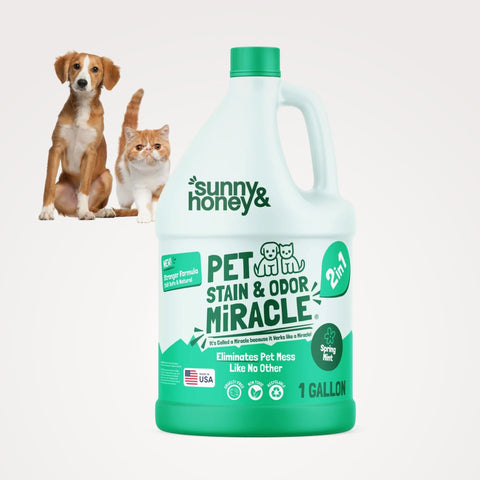 Sunny & Honey Pet Stain & Odor Remover 1 Gal Sunny & Honey